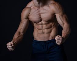 We did not find results for: Informasi Lengkap Hipertrofi Otot Atau Peningkatan Ukuran Otot