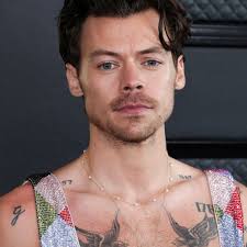 Grammy Awards 2023: Harry Styles Shirtless Red Carpet Photos