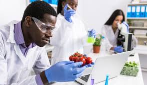 Image result for Science Technology Food Science