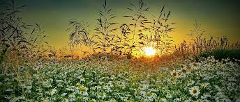 We did not find results for: Komitmen Untuk Mengasihi Kebenaran Cahaya Pengharapan Ministries