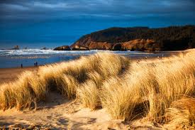 Oregon state government employees serve in a variety of roles ­from economists to park rangers, to physicians and archaeologists, to name a few. Oregon Coast Usa Entlang Dieser Kuste Ist Jeder Strand Ein Highlight Geo