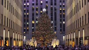 History Of Christmas Trees History