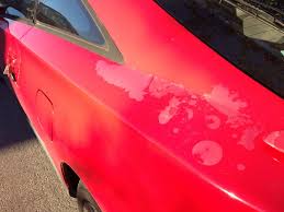 Paint peeling or flaking on old coving and walls. Surface Damage Field Guide Auto Detailing Wiki