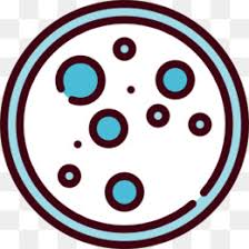 Jarum osedisposable 8) cawan petri ( petri dish ) alat untuk meletakkan media tanam mikroba. Cawan Petri Laboratorium Agar Gambar Png
