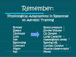 Physiological Adaptations In Response To Aerobic Training