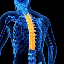 10 Thoracic Spine Mobility Drills Unleash Unlock Your Body Thoracic Spine Mobility Thoracic Stenosis Exercises