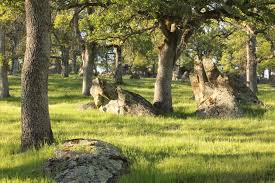 2023 Annual Community Report