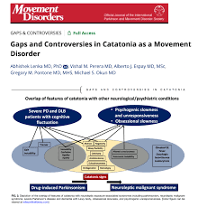 Image result for Echophenomena