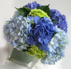 Check spelling or type a new query. Pin By Yanina Ruiz On Centrotavola Wedding Flowers Blue Hydrangea Green Centerpieces Wedding Flowers