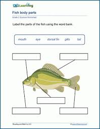 This collection of worksheets provides activities on a number of different topics related to the sciences. Grade 2 Science Worksheets K5 Learning
