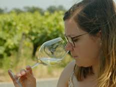 Stay in the the vineyards of Nantes in France