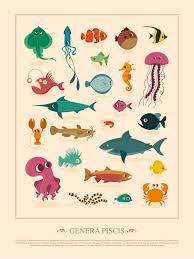 Genera Avium Genera Piscis On Behance Fish Illustration Cute Fish Illustration