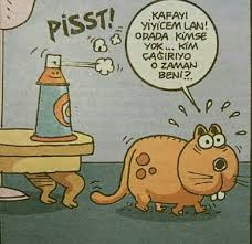Kediler Kendi Isimlerini Anlayabilir Mi 2020 Karikatur Komik Karikatur Kitabi