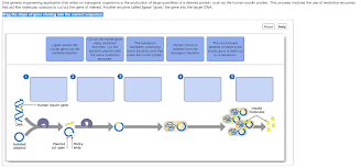 Transgenic organisms are organisms whose genetic material has been changed by the addition of foreign genes. Solved One Genetic Engineering Application That Relies On Chegg Com