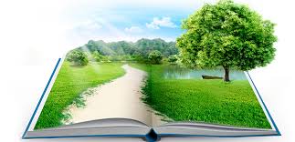 Gestión de Proyectos Ambientales – Fernando Basantes