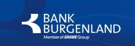 It may perform the following services 4 News Von Hypo Bank Burgenland Aktiengesellschaft Pressemeldungen 2021 Presseportal