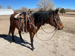 (or we can add a link to your ranch for a fee) $25/year for a text link in the body of this page. The Triple S Ranch Pferdetrainer Fountain Facebook 1 Bewertung 164 Fotos