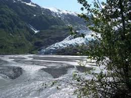 And the tour boats that visit the park leave from seward. By The Numbers Kenai Fjords National Park National Parks Traveler
