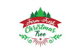 Download Farm Fresh Christmas Tree Graphic By Thelucky Creative Fabrica SVG Cut Files