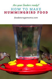 Avoid the commercial feed and make your own hummingbird food with these simple steps. How To Make Hummingbird Food Food Storage Moms