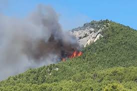 Le feu aurait débuté aux abords de l'autoroute. Fl Ipdneeua Bm