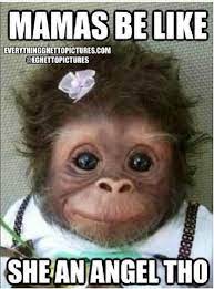 We would say it's when it's all groan. 3 Monkey Friends Quotes Novocom Top