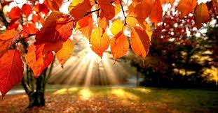 Kết quả hình ảnh cho mùa thu