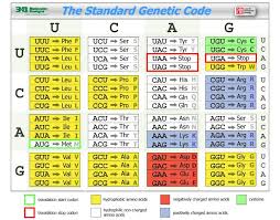 Genetic Code Chart Science Biology Genetics Biology