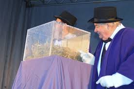 Wiarton willie is the name given to a canadian groundhog who lives in the community of wiarton in bruce county, ontario. Blackburnnews Com Wiarton Willie Your Local News Network