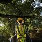 Spooky Skeleton Garden Trail event in Tamworth