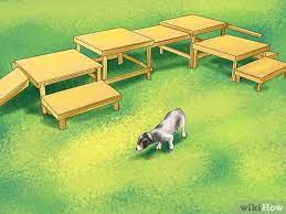 How To Build A Dog Agility Course 12 Steps With Pictures