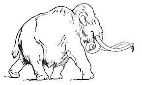 Wooly Mammoth Coloring Page Mammoth Coloring Page Woolly Mammoth Coloring Page Woolly Mammoth Coloring Pages Woolly
