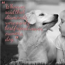 Check out our diamonds dog quote selection for the very best in unique or custom, handmade pieces from our shops. Currynpepper Ayurveda Philosophy Science Life Longevity Power Cycles Nature Elements Dog Dogsofinsta Dogst Dogs And Kids Pet Quotes Dog Dog Quotes
