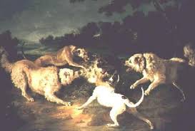 Pyrenean Wolf Hounds Natural History See more ideas about wolfhound, irish wolfhound, deerhound. pyrenean wolf hounds natural history