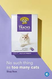 Dr Elsey S Multi Cat Unscented Clumping Clay Cat Litter In 2020 Clay Cat Litter Cat Litter Fragrance Free Products