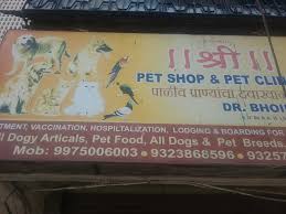 Finding the right doctor means focusing on the factors that can actually affect your health. Shree Pets Shop Pet Clinic Pet Clinics Book Appointment Online Pet Clinics In Virar East Palghar Mumbai Justdial