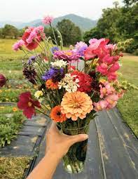 Pin On Flowers
