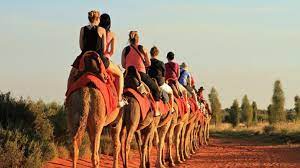 We offer a camel experience's that can't be beaten anywhere in. Sunset Camel Ride 60 Minutes Uluru Kata Tjuta Adrenaline