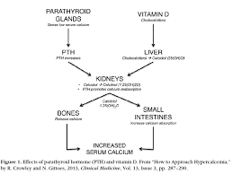 Image result for Hypercalcemia