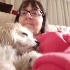 My Yorkie just turned 5 and I love her dearly but when she goes outside she  barks constantly!! Very annoying, she knows not to but almost always does,  any advice please! Ty. |