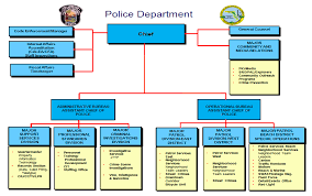 City Of Hollywood 2014 Public Safety Annual Report Pdf