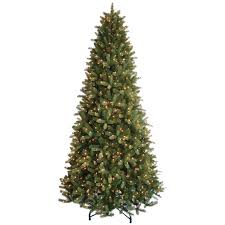 C33 10 Pre Lit Westport Fir Tree With 1 200 Clear Lights At Home Tree Fir Tree Classic Christmas Tree