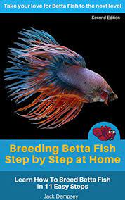 Betta fish has been since early times of its discovery been used for fight shows which started in thailand betta fish breeding process. Breeding Betta Fish Step By Step At Home Learn How To Breed Betta Fish In 11 Easy Steps English Edition Ebook Dempsey Jack Amazon De Kindle Shop