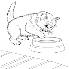 If your child loves interacting. Kitten Coloring Pages Free Printable Coloring Pages For Kids