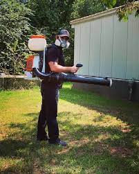 To truly prevent termites and other pests from entering your home as warm weather arrives, you need to work with a qualified pest control company in raleigh it's easy to miss the signs of termites and because a colony can range between a few hundred to millions of insects, damage can happen fast. A Team Termite Pest Control å¸–å­ Facebook