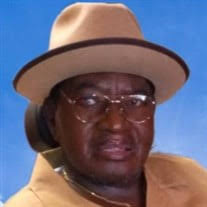 Mr. Leroy Williams Jr. Obituary (2024)