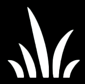 Arizona termite, pest and weed, llc. Pest Control In Az Carter Weed Pest Control