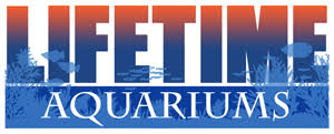 All Aquarium Standard Sizes Custom Aquariums