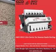 AMD White Sesame Seeds Optical Color Sorter Machine (RG6) for  Sesamum/Gingelly Seeds Sorting