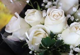 Divide plants in early spring or after flowering. Rose Prices Go Up Strong For Valentine S Day 100 Baht Per Flower Arrange A Bouquet 1 000 Baht